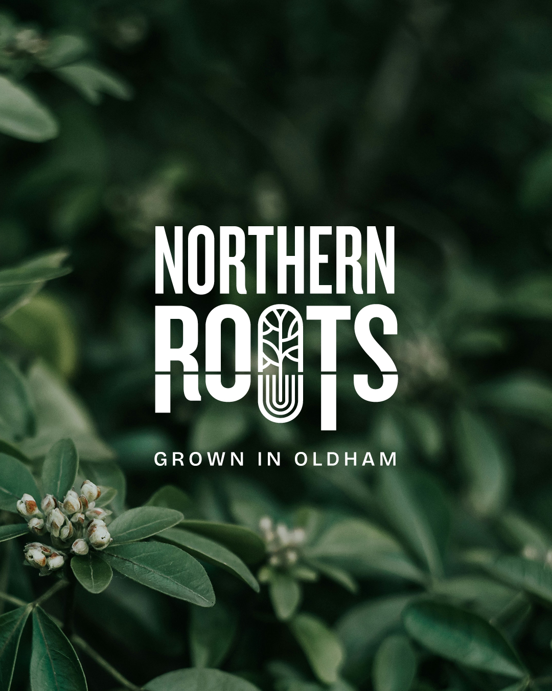 Northern Roots Case Study Posts_02