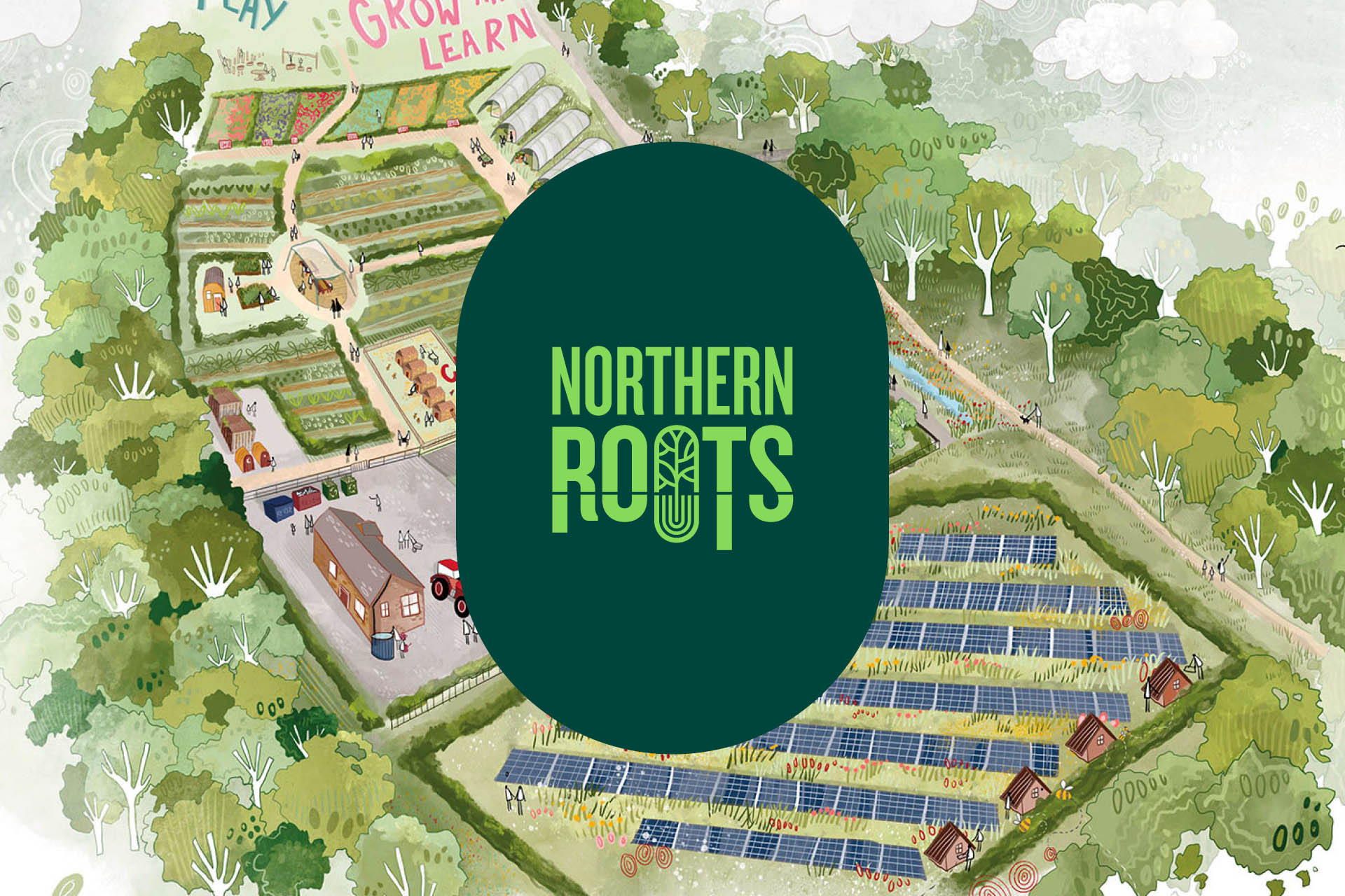Northern Roots